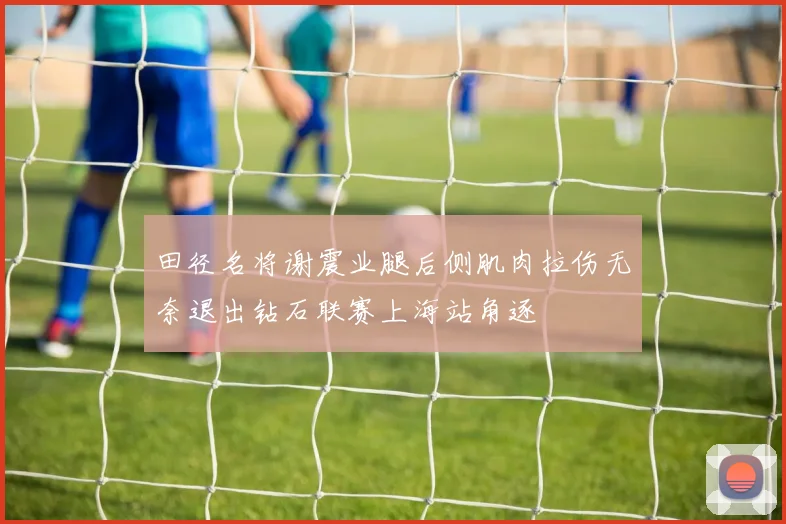 田径名将谢震业腿后侧肌肉拉伤无奈退出钻石联赛上海站角逐