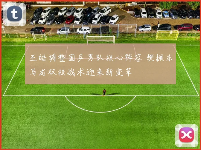 王皓调整国乒男队核心阵容 樊振东马龙双核战术迎来新变革