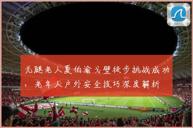 无腿老人夏伯渝戈壁徒步挑战成功，老年人户外安全技巧深度解析